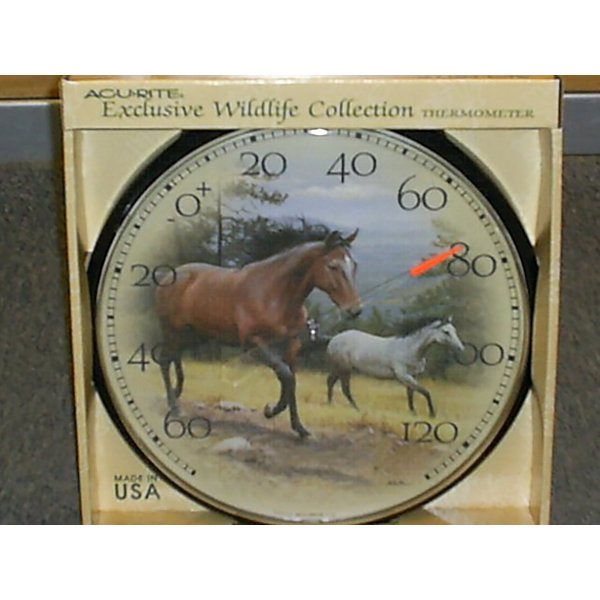 Accurite Horse Thermometer Wayfair.ca